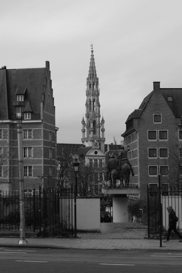 Agence web Bruxelles